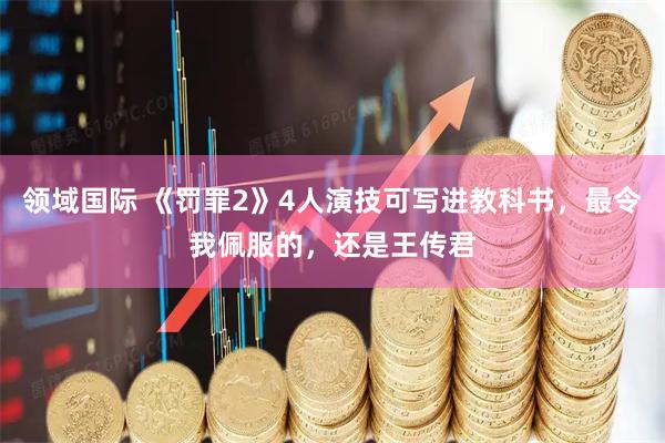领域国际 《罚罪2》4人演技可写进教科书，最令我佩服的，还是王传君