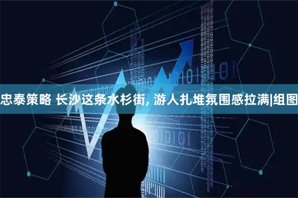忠泰策略 长沙这条水杉街, 游人扎堆氛围感拉满|组图