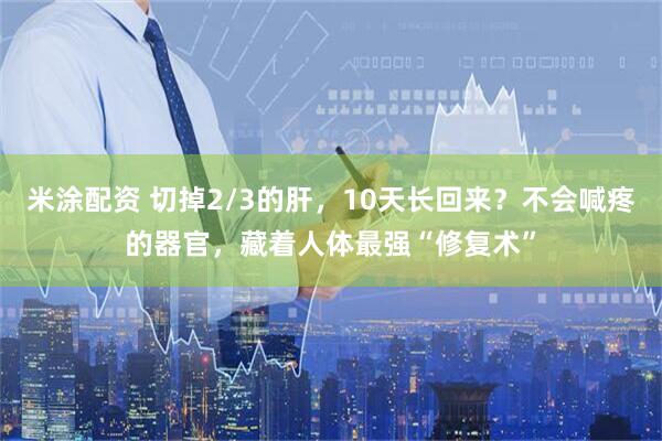 米涂配资 切掉2/3的肝，10天长回来？不会喊疼的器官，藏着人体最强“修复术”